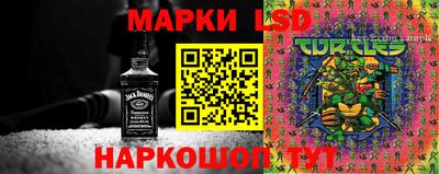 гидропоника Нальчик