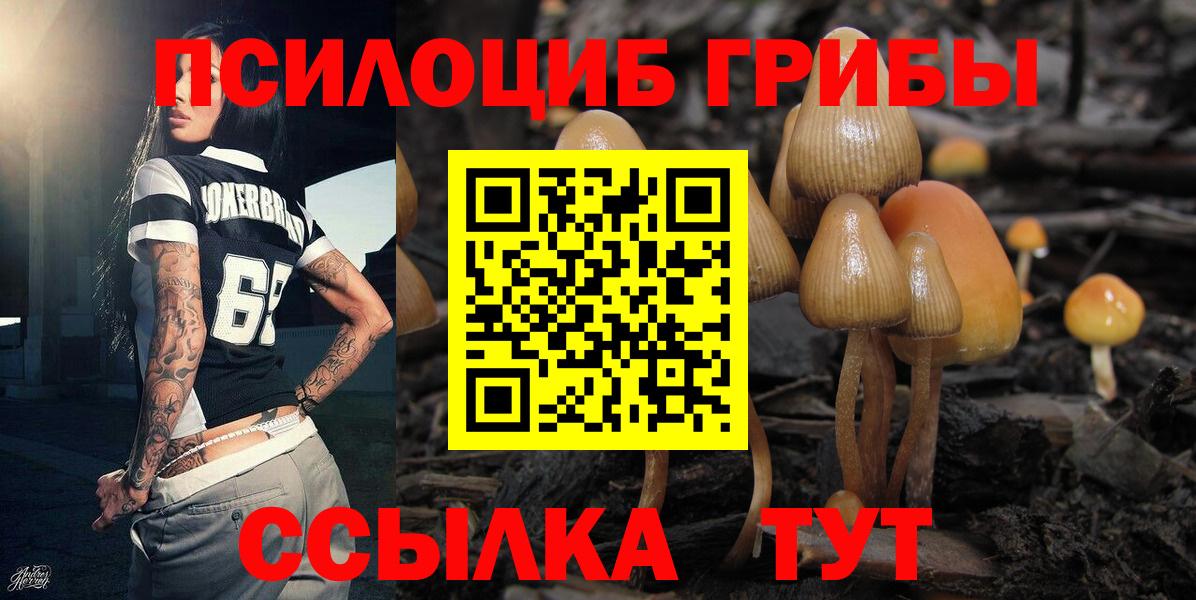Галлюциногенные грибы ЛСД Берёзовский