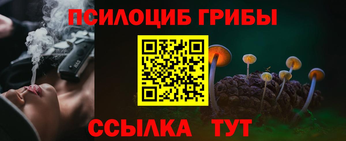 Псилоцибиновые грибы MAGIC MUSHROOMS  Вход с VPN  Псилоцибиновые грибы Psilocybe  Берёзовский 